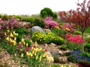 A Springtime Garden