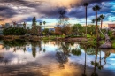 La Brea Tar Pits