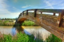 Moonbridge, Martinez Shoreline