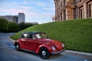 Bug at the Texas State Capitol