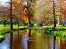 Bushy Park, Teddington, England