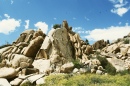 Joshua Tree National Park