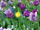 Horticultural Show in Koblenz, Germany