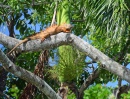 Belize, Central America