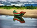 Fishing Boat, Paraná Coast, Brazil