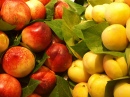 Fruits at La Boqueria Market, Barcelona