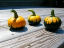 Batwing Pumpkins