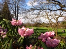 Golders Hill Park, London