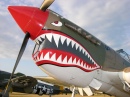 P-40E Warhawk/Kittyhawk