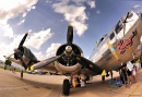 B-17