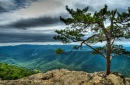 Ravens Roost Overlook, Blue Ridge Parkway