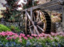 Water Wheel near the Old Church