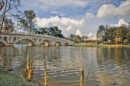 Chinese Garden Bridge