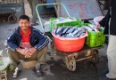 Traditional Fish Bazar of Bandar Abbas