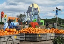 Pumpkinland