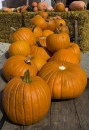 Pumpkins