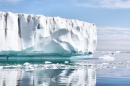 Glacier Cruise, East Greenland