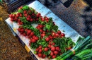 Radishes in Morning Light