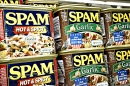 Canned Spam