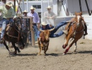 Steer Wrestling