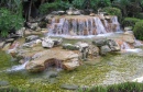 Waterfall, Orlando, Florida