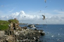 Inishbofin, Ireland