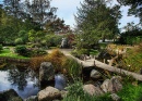 Japanese Garden