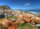 Cape Peninsula