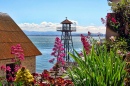 View from Alcatraz Island, San Francisco