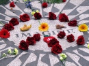 Strawberry Fields