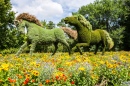 Montreal International Mosaicultures