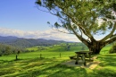 Dandenong Ranges, Australia