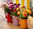 Ranunculus Flowers