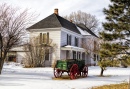 Old Wagon in Ridgeway, Colorado