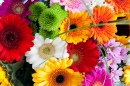 Colorful Spring Bouquet