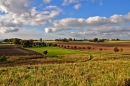 In the Fields