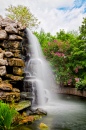 Waterfall at the Washington DC Zoo