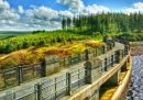 Alwen Reservoir, Denbigh Moors, North Wales