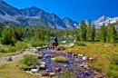 Eastern Sierra, California