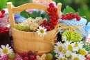 Fresh Summer Fruits