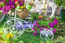 Flower Bicycle