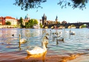 Charles Bridge in Prague at Sunset