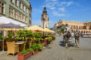 Horse Carriage in Cracow, Poland