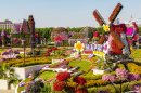 Dubai Miracle Garden, UAE