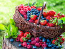 Basket of Berries