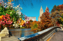 Autumn in the Central Park