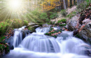 Autumn Creek in Czech Republic