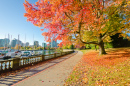 Stanley Park in Vancouver, Canada