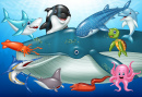 Sea Animals