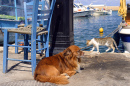 Sunny Day on a Greek Beach